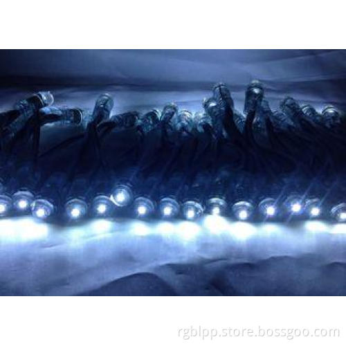 12MM 20mm Staw Hat SMD LED Pixel Module For LED Lighting Ch